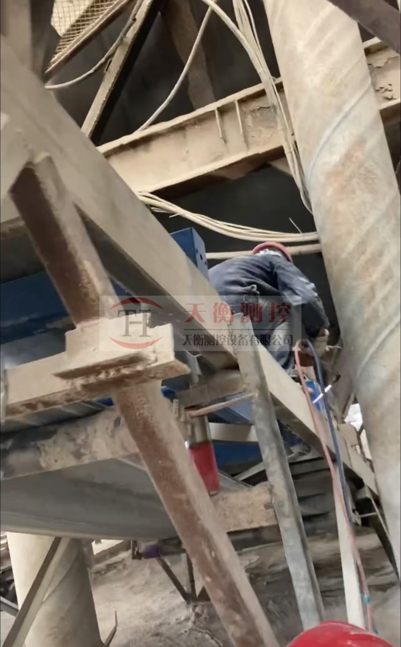 张家界丝瓜视频免费在线