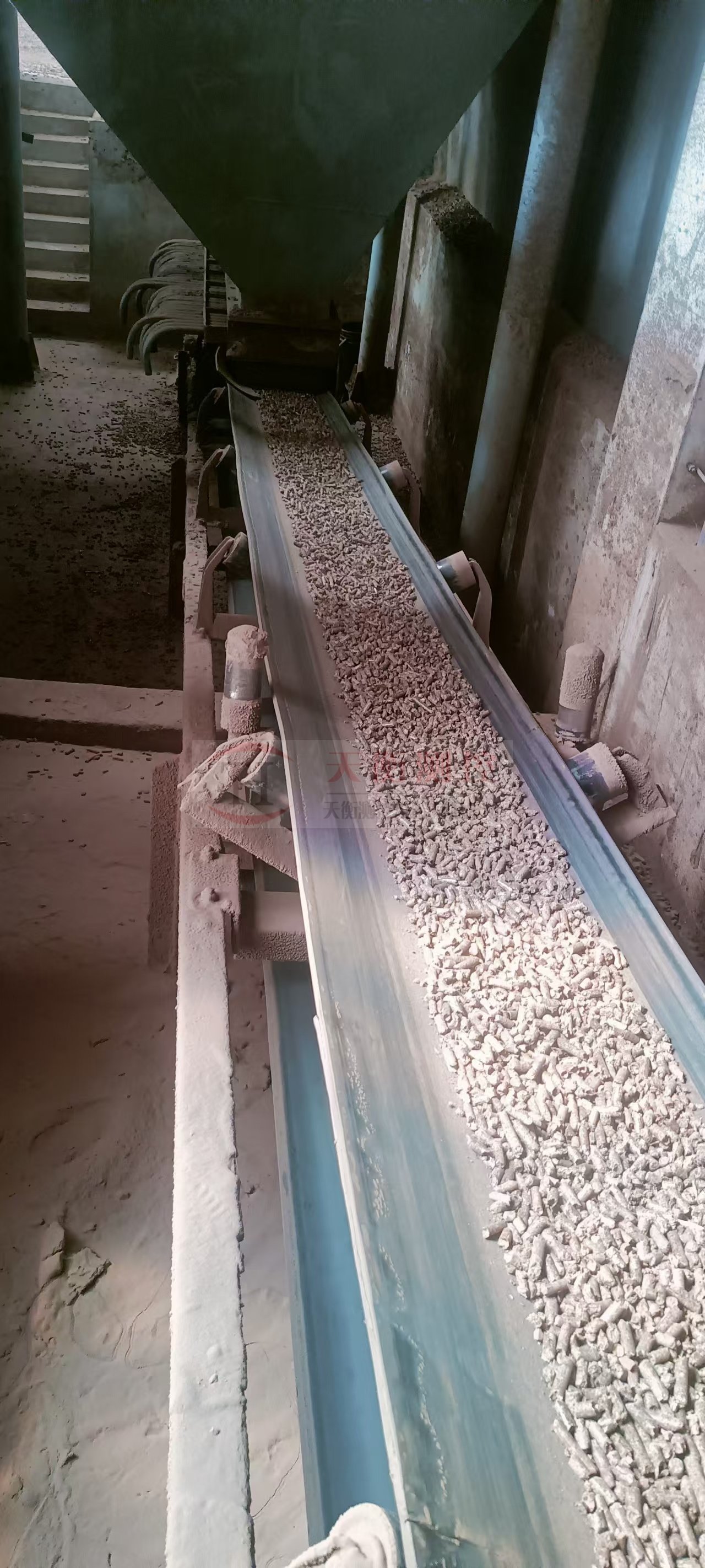 丝瓜视频免费在线